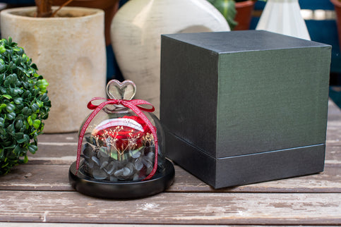 Aranjament trandafir criogenat 5+ giftbox