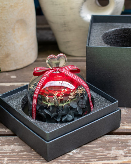 Aranjament trandafir criogenat 5+ giftbox