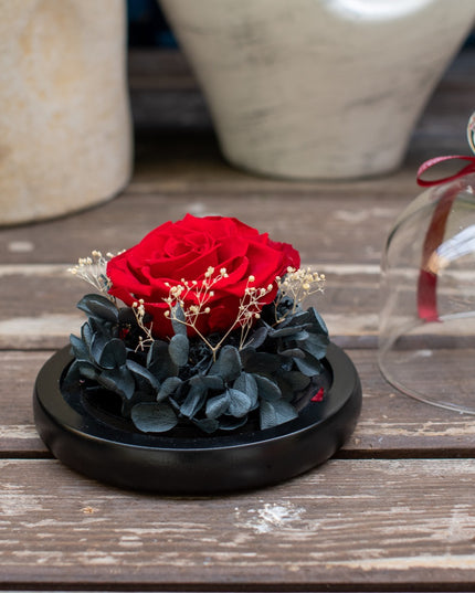 Aranjament trandafir criogenat 5+ giftbox