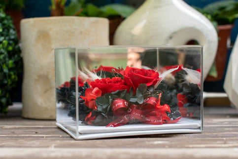 Aranjament trandafir criogenat 6 oglinda