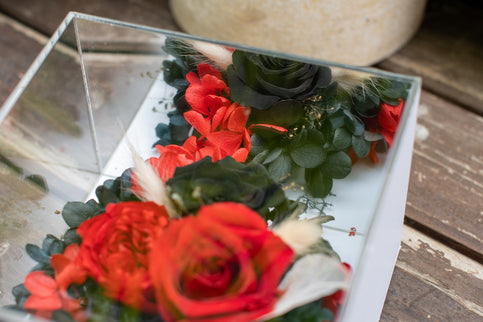 Aranjament trandafir criogenat 6 oglinda