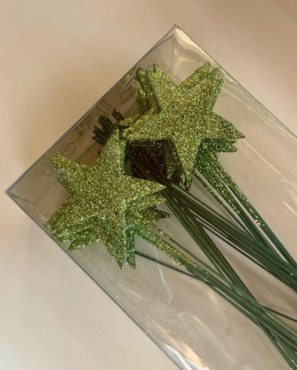 Pick steluta sclipici S/60