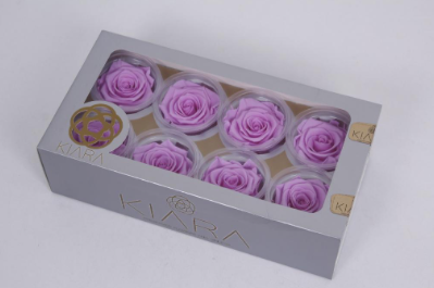 Trandafir criogenat Ø5.5-6cm baby lily