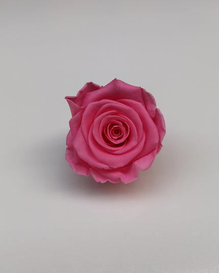 Trandafir criogenat Ø5.5-6cm roz mediu