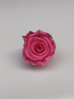 Trandafir criogenat Ø5.5-6cm roz mediu