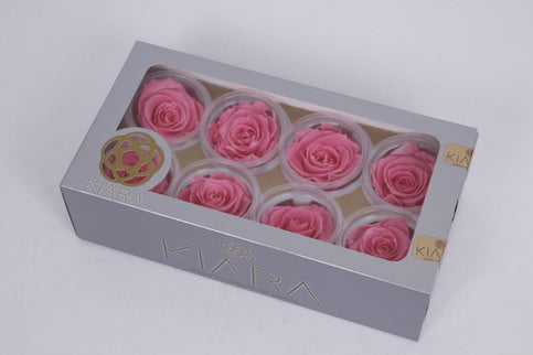 Trandafir criogenat Ø5.5-6cm roz mediu