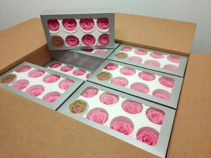 Trandafir criogenat Ø5.5-6cm roz mediu