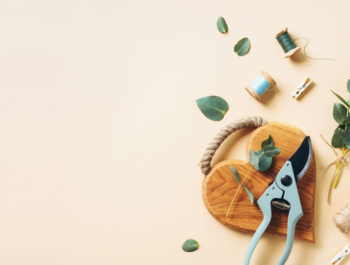 <h3>Floraria Dacardi</h3><h1>Piața de Flori</h1><h3></h3>