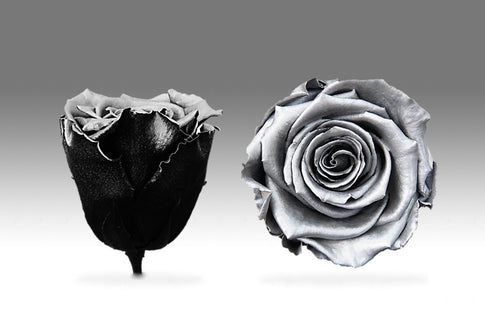 Trandafir criogenat Ø5.5-6cm metalizat argintiu