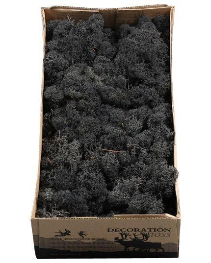 Licheni conservati Black 500G