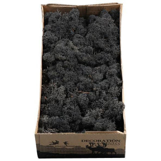 Licheni conservati Black 500G