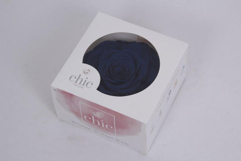 Trandafir criogenat Ø12cm blue bayon