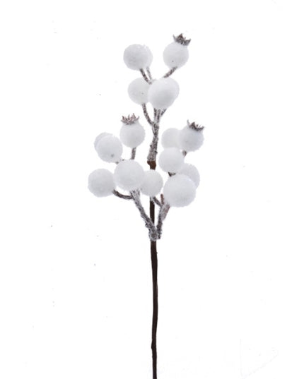 Crenguțe decorative cu fructe S/24