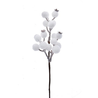 Crenguțe decorative cu fructe S/24