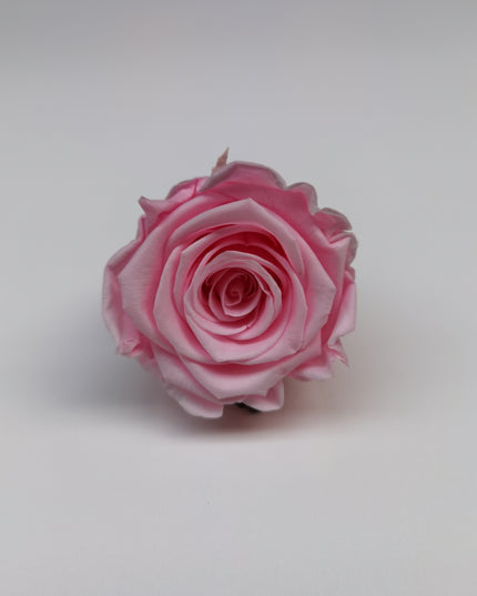 Trandafir criogenat Ø5.5-6cm roz deschis