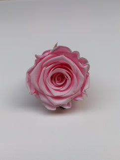 Trandafir criogenat Ø5.5-6cm roz deschis