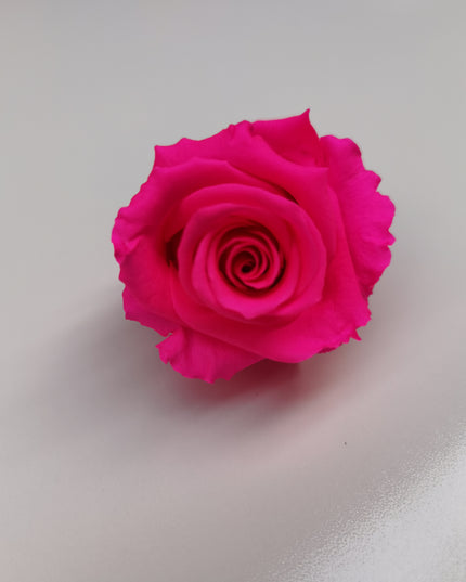 Trandafir criogenat Ø5.5-6cm roz intens