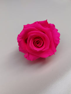 Trandafir criogenat Ø5.5-6cm roz intens