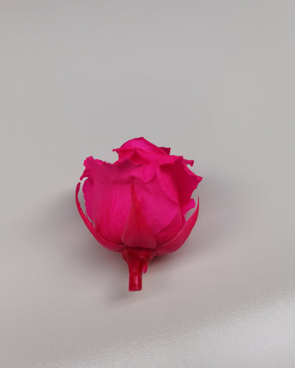 Trandafir criogenat Ø5.5-6cm roz intens