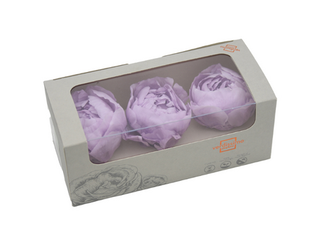 Bujori criogenati S/3 lila Ø4-6cm