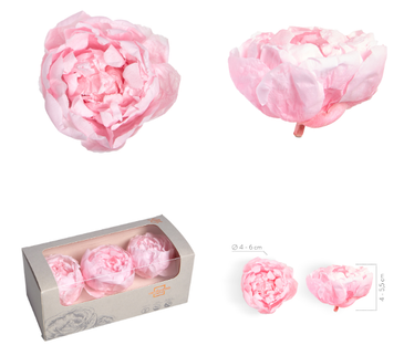 Bujori criogenati S/3 roz Ø4-6cm