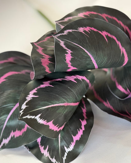 Verdeata artificiala calathea roz