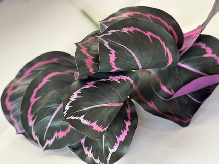 Verdeata artificiala calathea roz