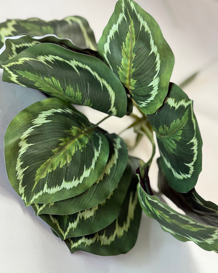 Verdeata artificiala calathea verde