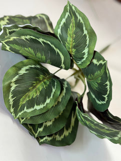 Verdeata artificiala calathea verde
