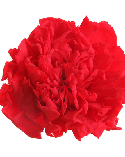 Garoafe criogenate Ø5cm S/6 rosu