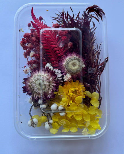 Flori uscate caserola 33