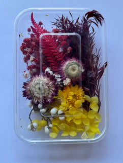 Flori uscate caserola 33