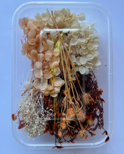 Flori uscate caserola 35