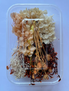 Flori uscate caserola 35