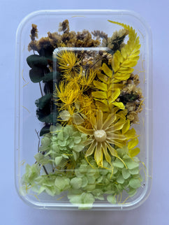 Flori uscate caserola 36