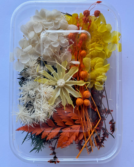 Flori uscate caserola 37