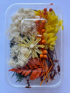 Flori uscate caserola 37