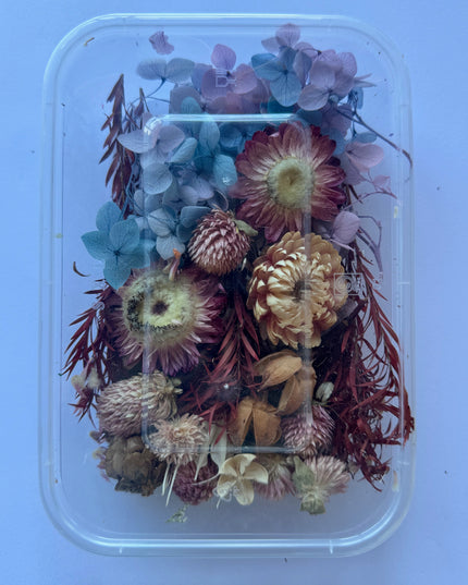 Flori uscate caserola 42