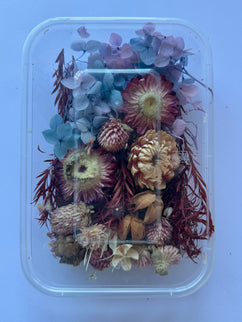 Flori uscate caserola 42