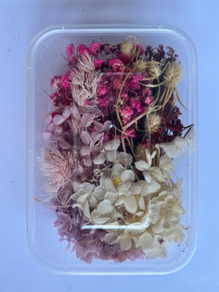 Flori uscate caserola 44