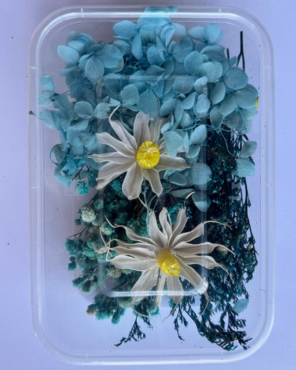 Flori uscate caserola 46