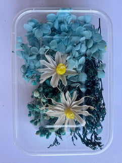 Flori uscate caserola 46