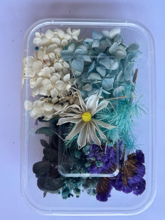 Flori uscate caserola 47