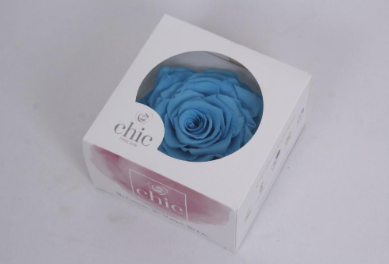 Trandafir criogenat Ø9-10cm castiel blue