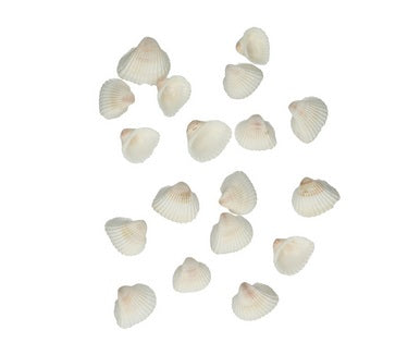 Decor scoici chippi 1kg