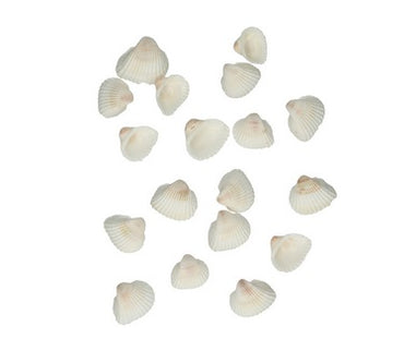 Decor scoici chippi 1kg