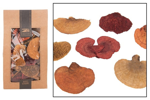 Decor ciuperci uscate 175g