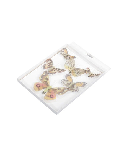 Fluture s/6 clama galben cu portocaliu