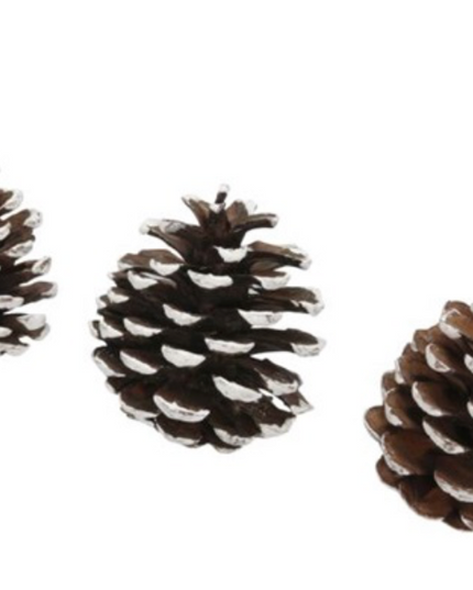 Decor conuri S/20 alb