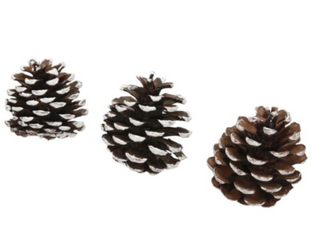 Decor conuri S/20 alb